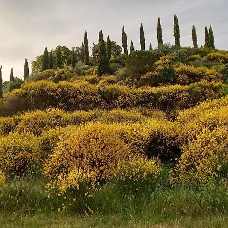 -casina Vitty- Apartment Montepulciano Stazione